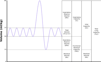 Lung Volumes